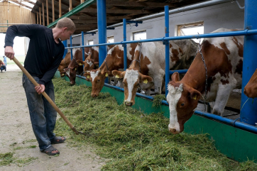 Крупнейший производитель молока «Эконива» продаст половину бизнеса